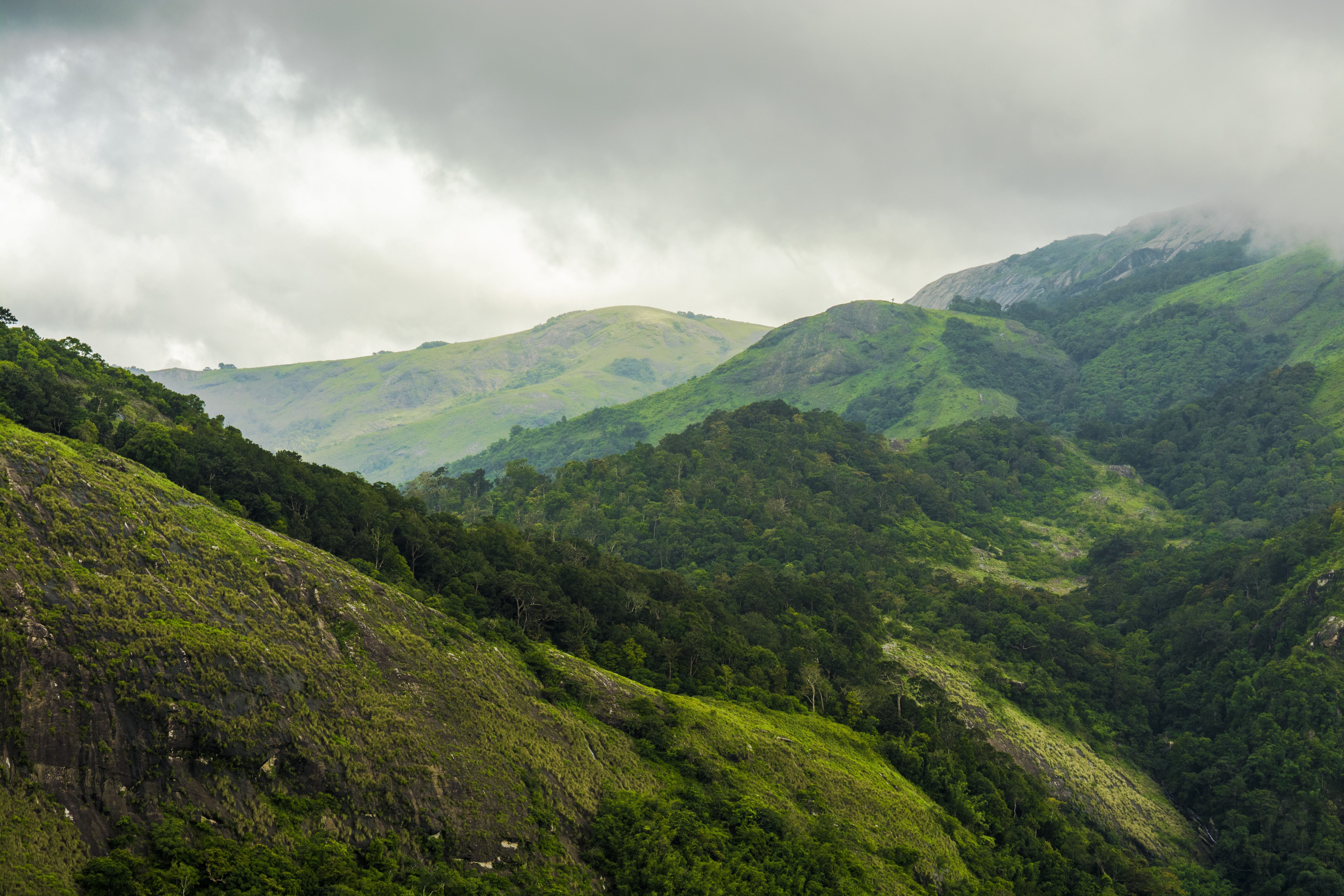 Nelliyampathy: The Queen of Palakkad Hills, Palakkad district - Kerala Nelliyampathy