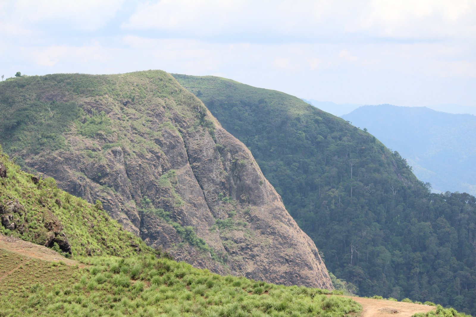 Peermade (Peerumedu), Flora, Fauna - Idukki Peermade