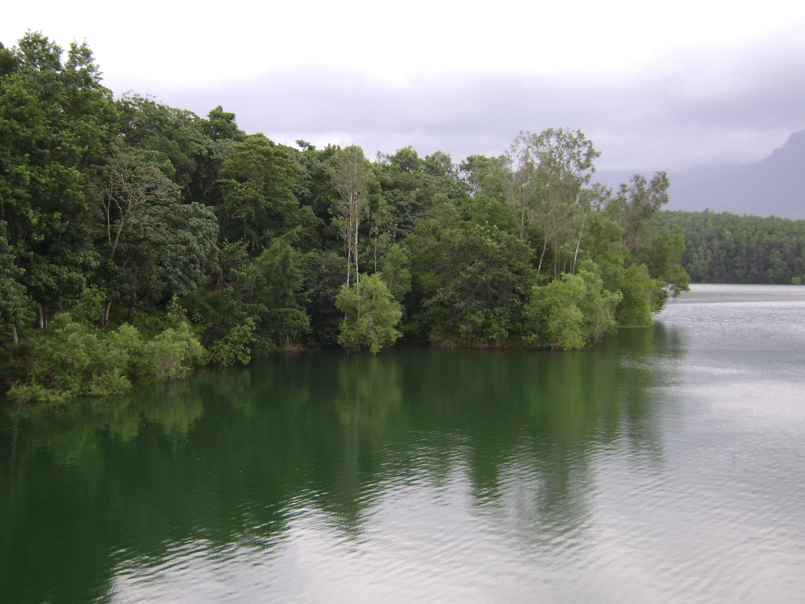 Peppara Wildlife Sanctuary, Flora, Fauna - Thiruvananthapuram3 Peppara Wildlife Sanctuary