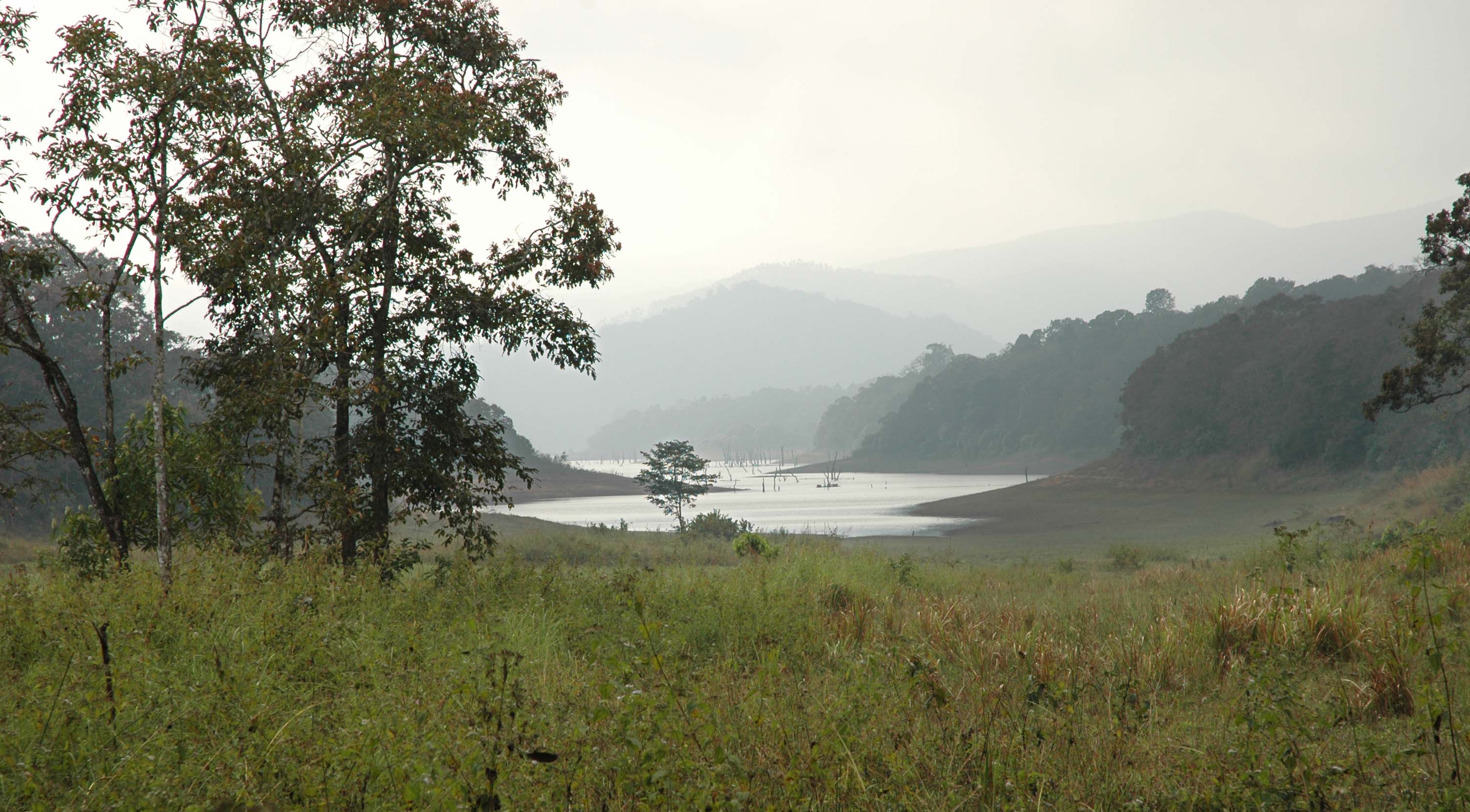 Periyar Tiger Reserve, Flora, Fauna - Idukki Periyar Tiger Reserve