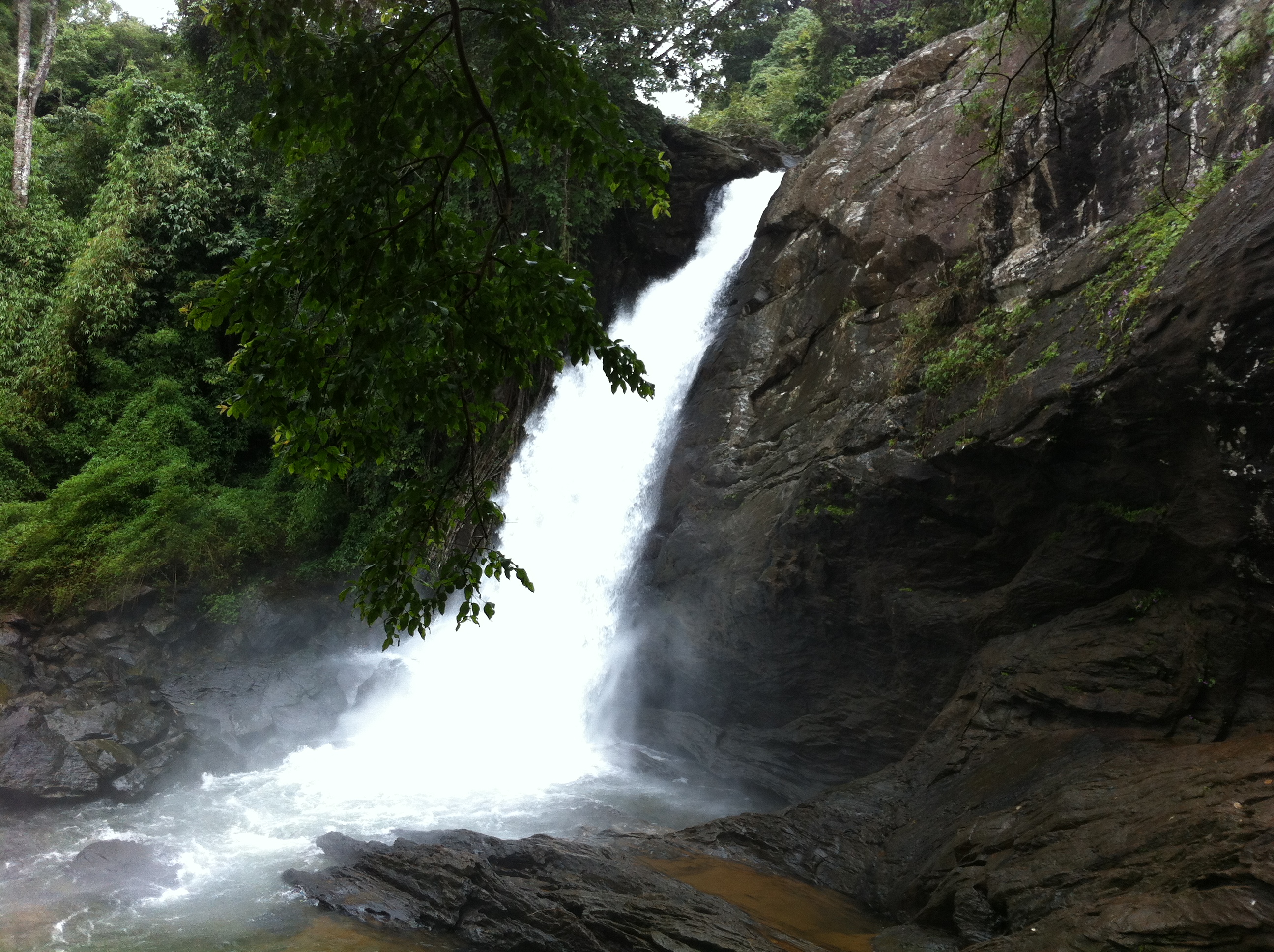 Soochipara Falls, Activities, Attractions - Wayanad Soochipara Falls