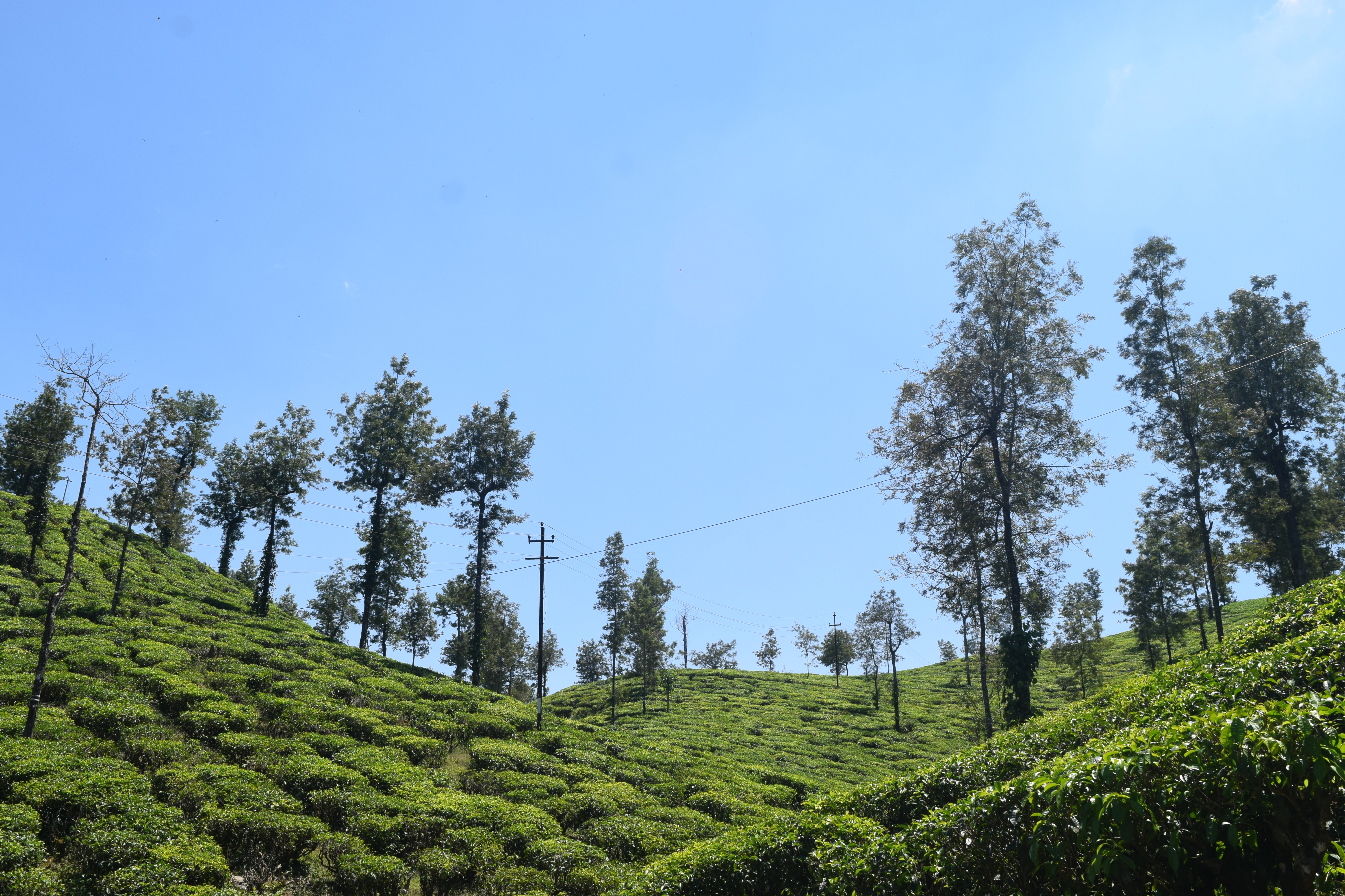 Malakkappara, Attractions, Activities - Thrissur Malakkappara