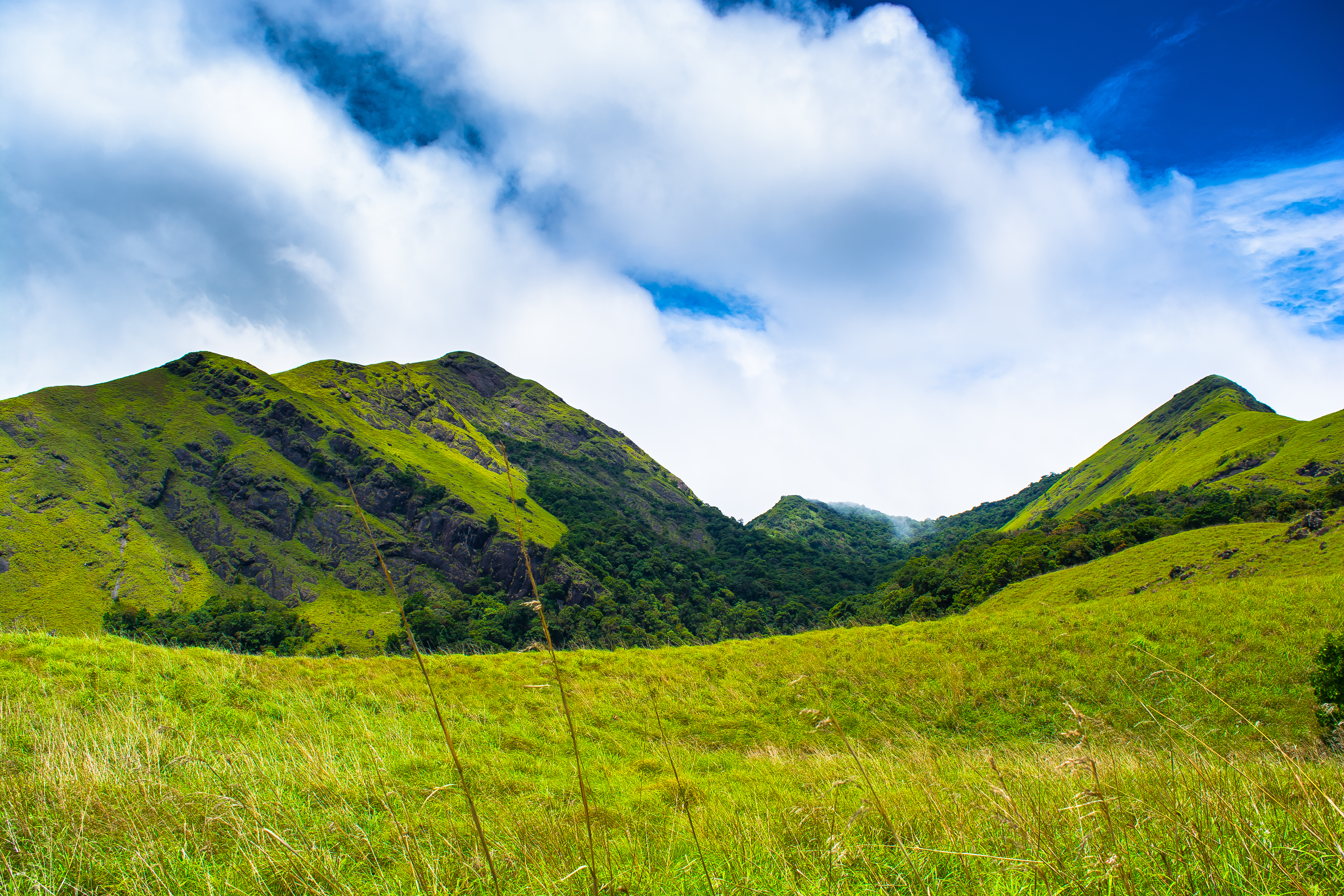 Wayanad, Attractions, Geography, Best Time - Kerala Wayanad