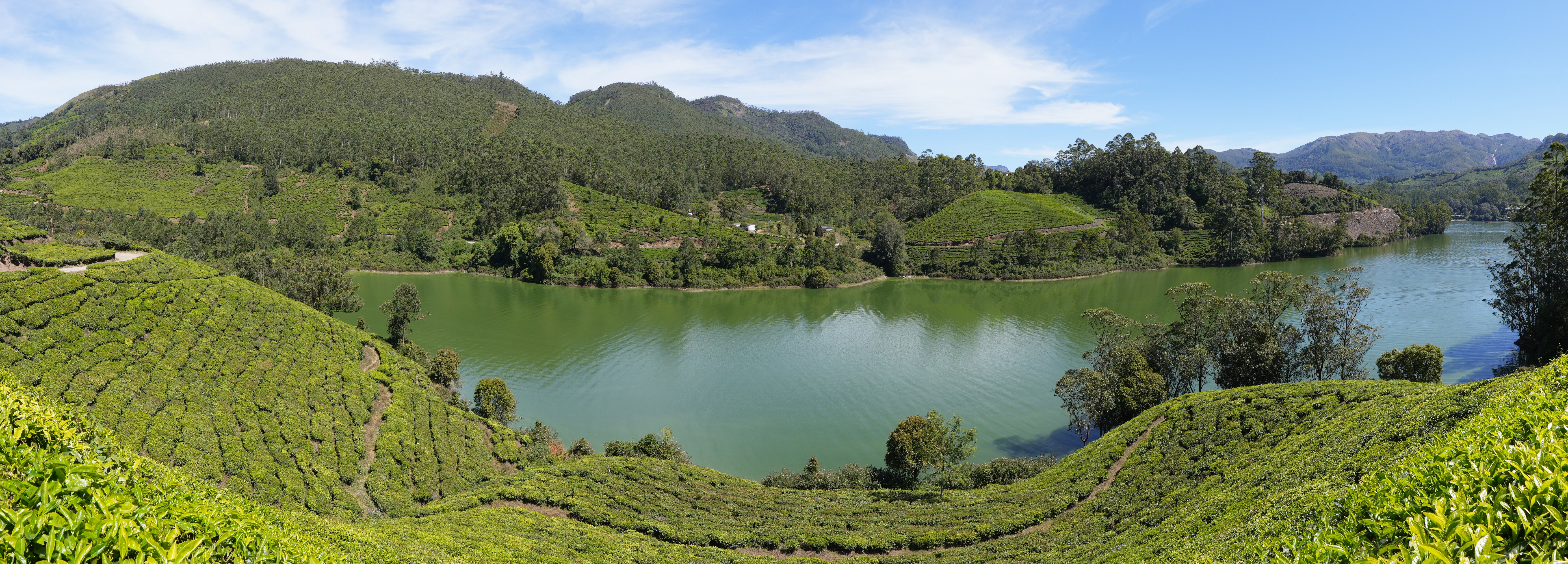 Munnar: Kashmir of South India - Kerala Munnar
