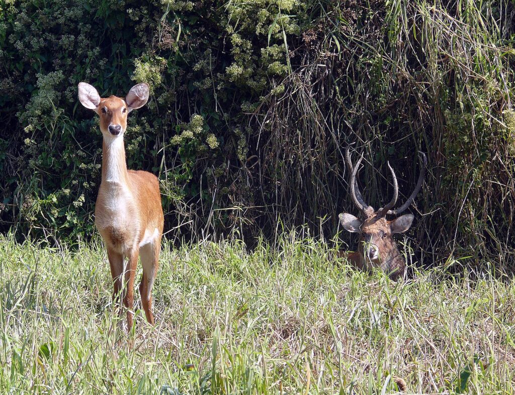 Manipur Zoological Garden