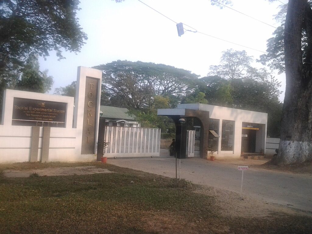 Assam Tea Museum, Tocklai Tea Research Association Museum
