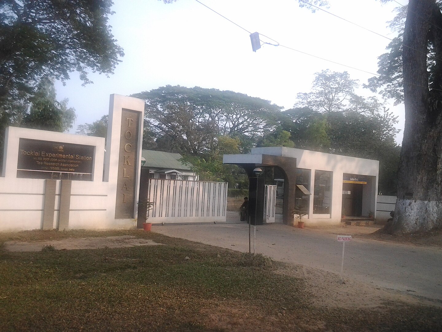 Assam Tea Museum, History, Timing - Assam 1440px-Tocklai_gate_jorhat