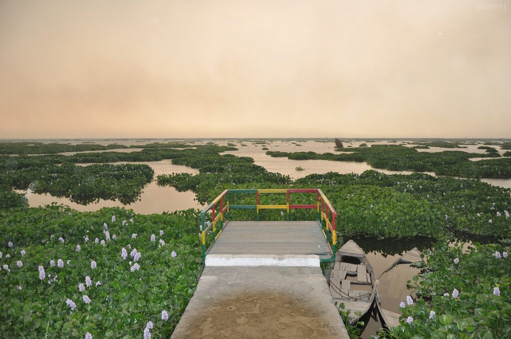 Harike Wetland, Punjab