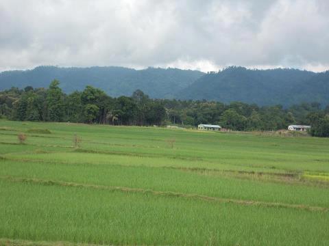 Jampui Hills, Tripura