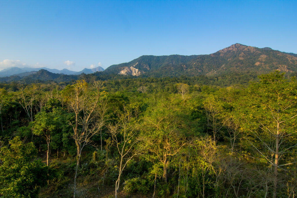 Buxa Tiger Reserve