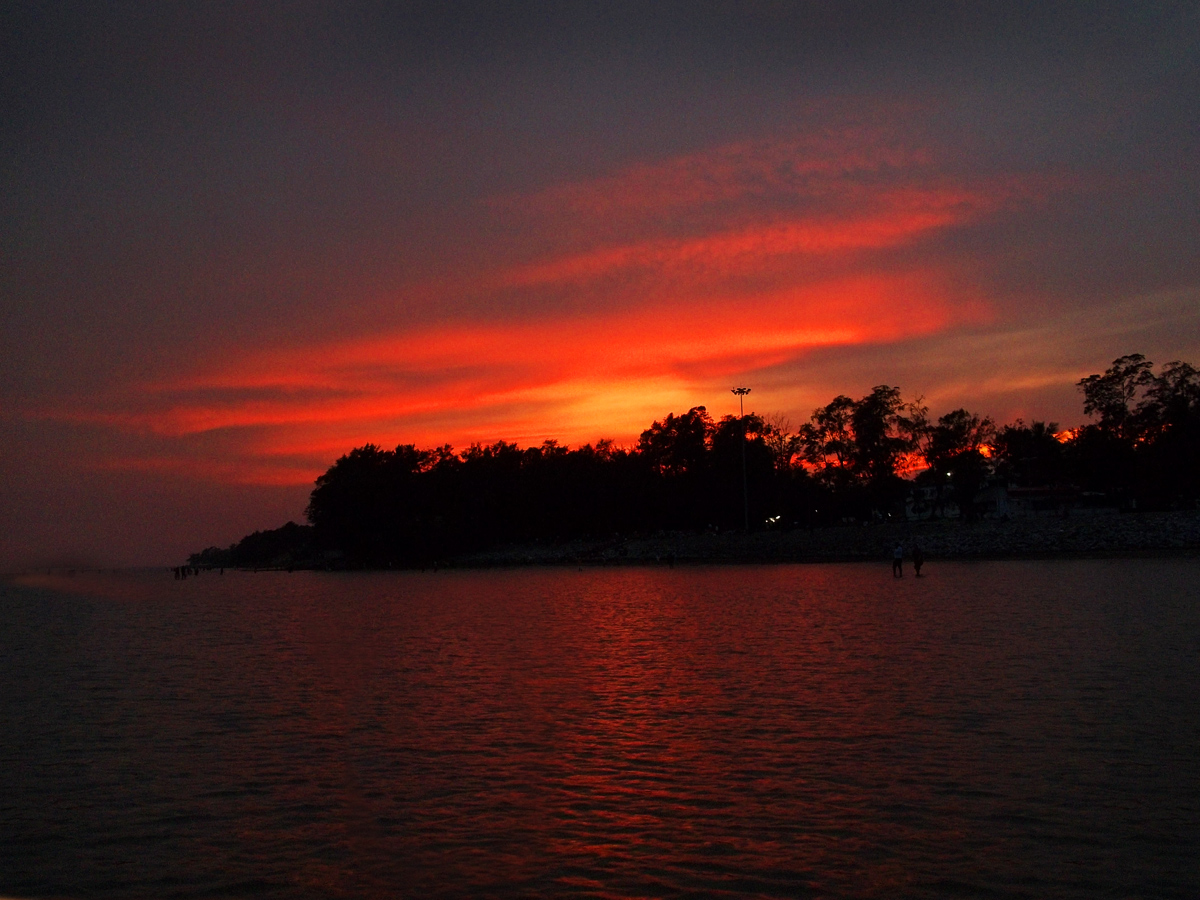 Chandipur Beach, Attractions, How to Reach: Balasore Chandipur Beach
