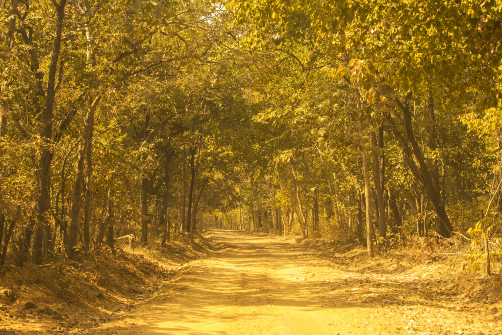 Debrigarh Wildlife Sanctuary