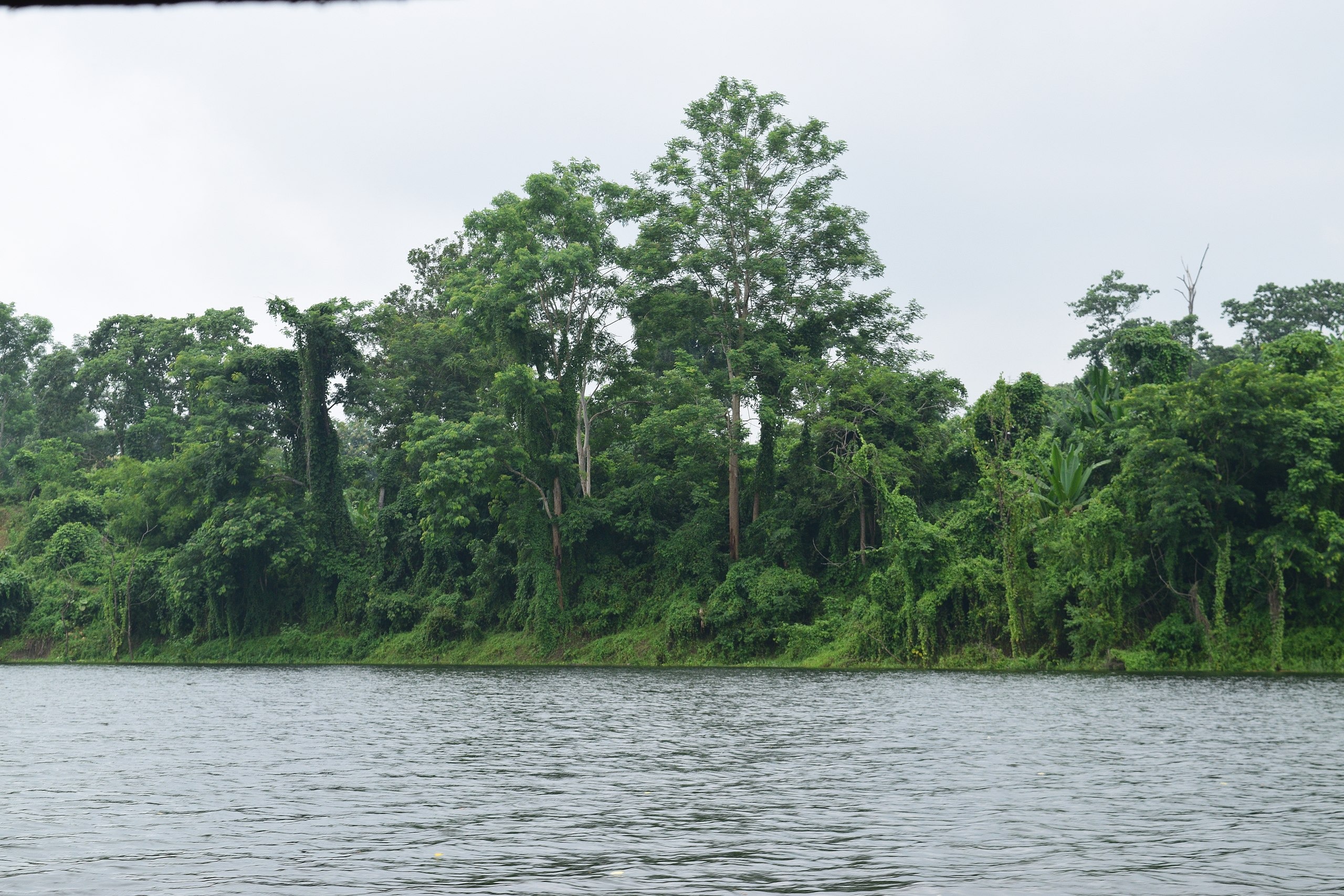Dumboor Lake, Attractions, How To Reach - Tripura Dumboor Lake