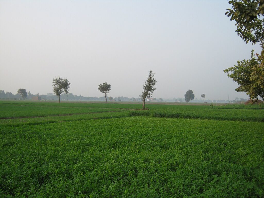 Haryana