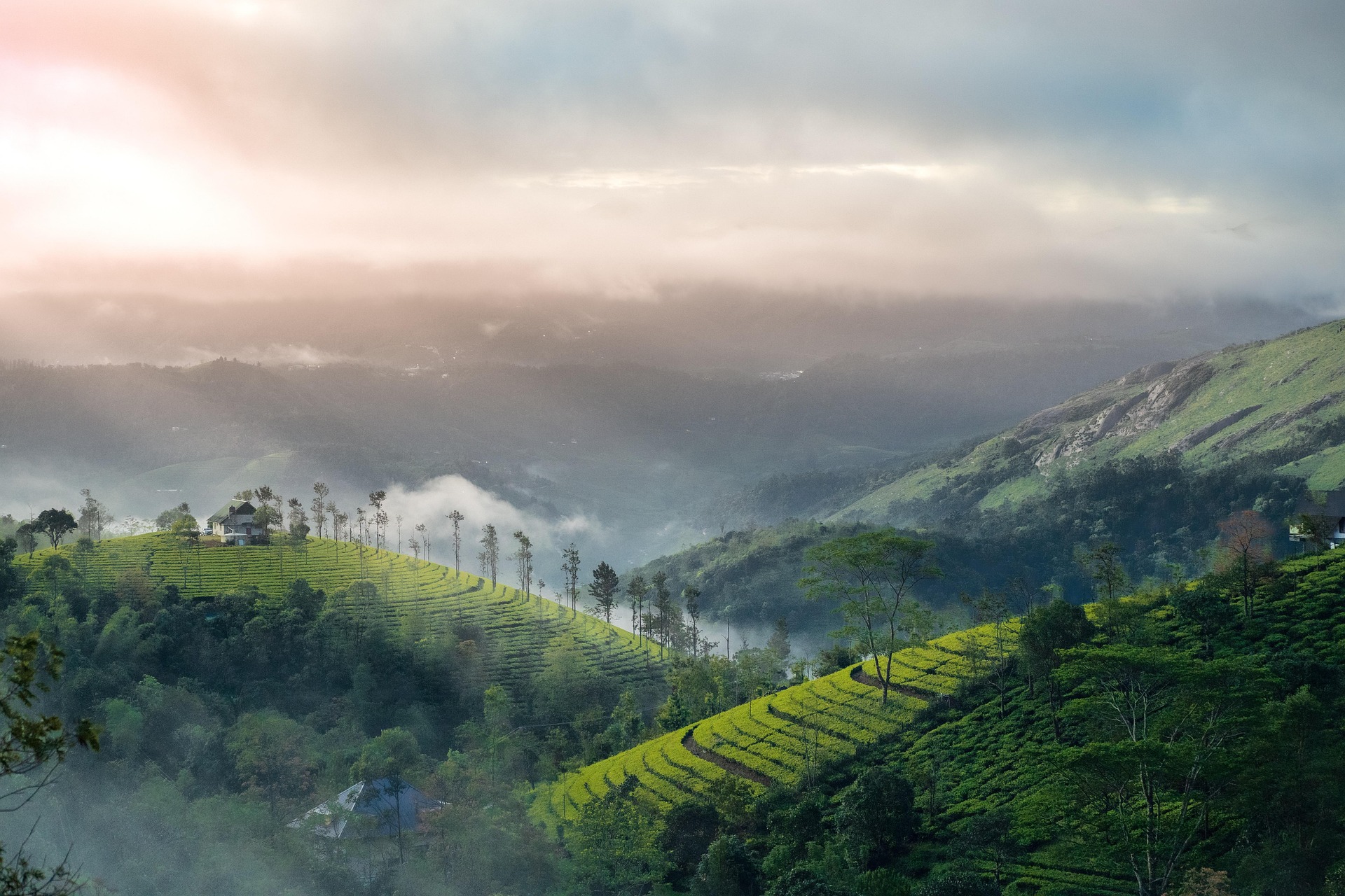 Idukki Travel Guide 2026 Idukki