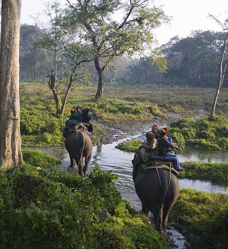 Jaldapara National Park,