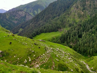 Jalsu Pass trek