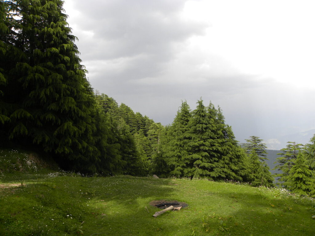 Kalatop Wildlife_Sanctuary