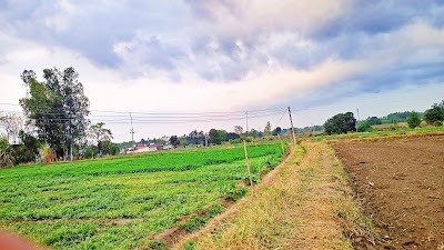Kandi Upland, Punjab