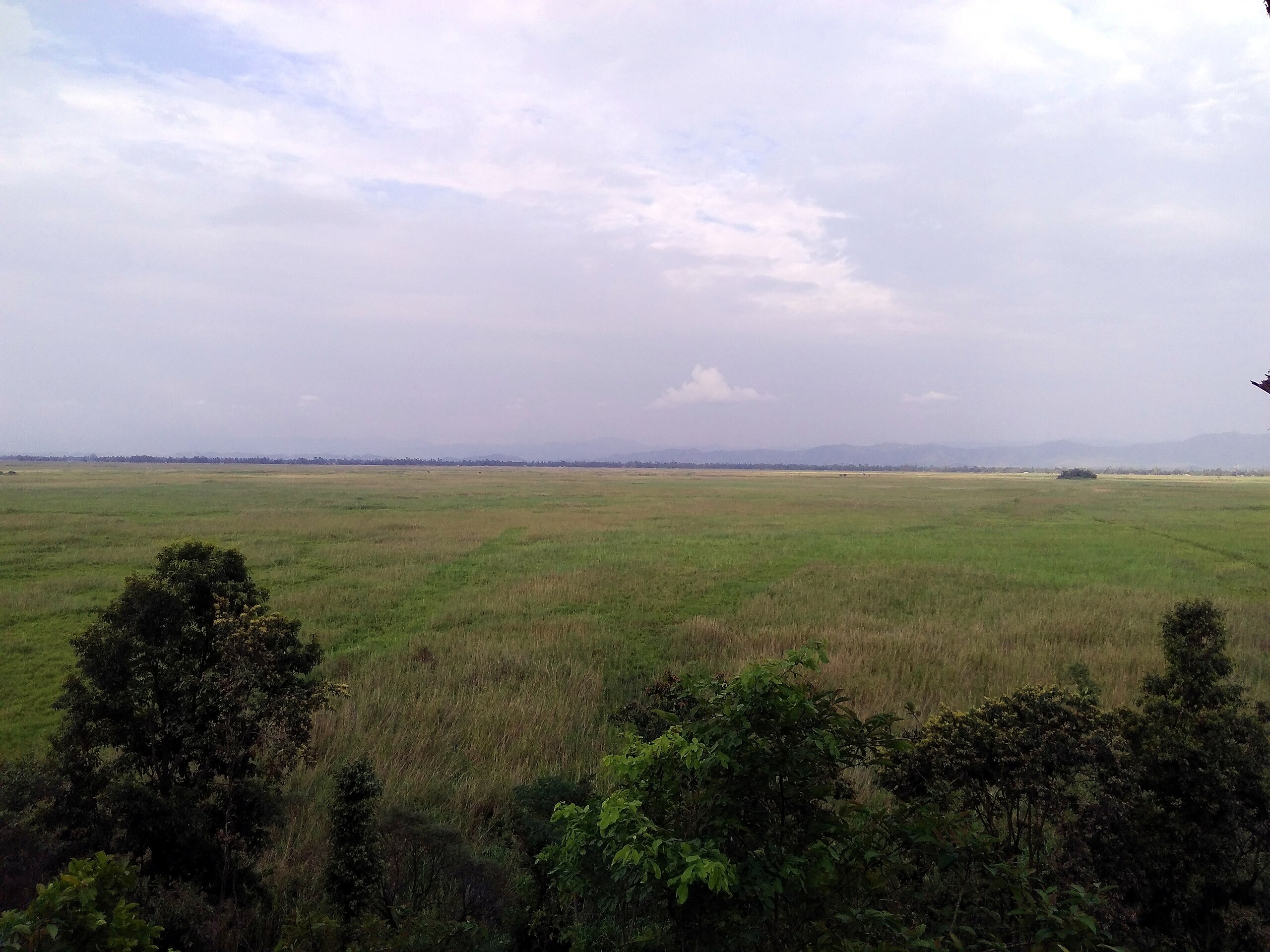 Keibul Lamjao National Park, Loktak Lake: Manipur Keibul Lamjao National Park