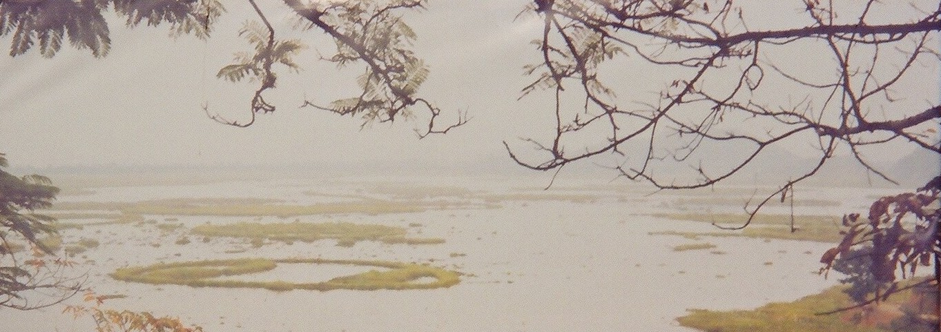 Phumdi Islands, Loktak Lake: Bishnupur, Manipur Loktak_Lake_Another_view