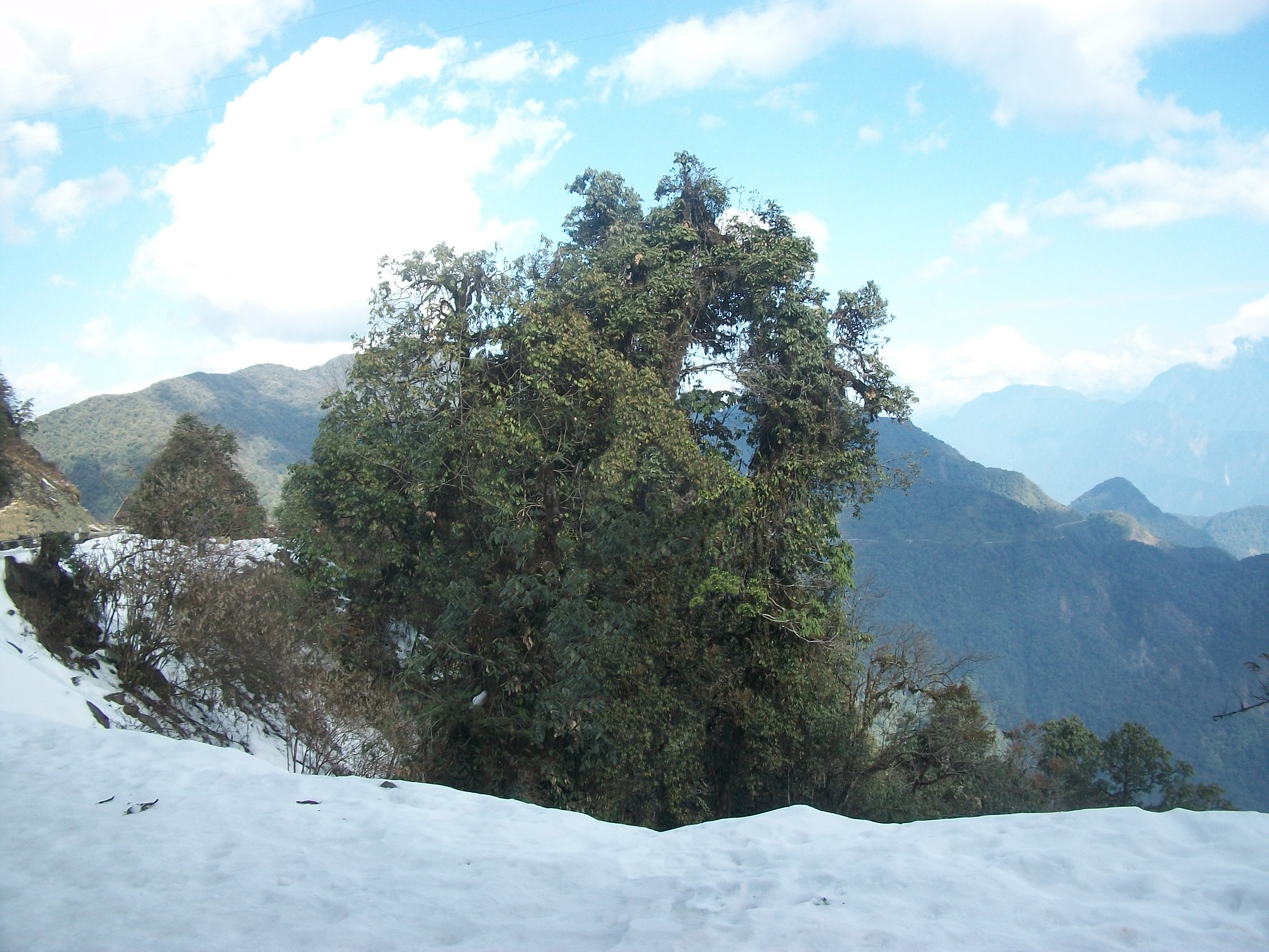Mayudia pass, Snow trek, 2,655 meters: Dibang Valley Mayodia