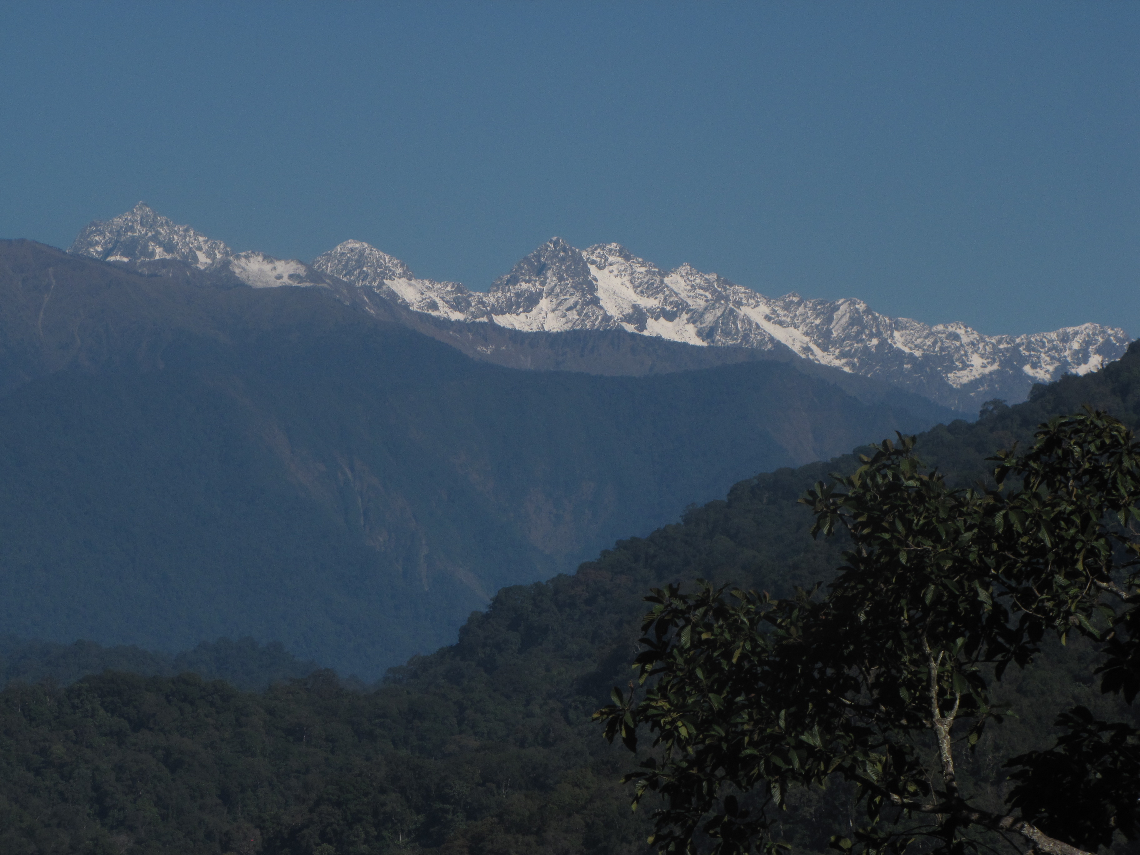 Namdapha National Park & Tiger Reserve: Arunachal Pradesh Namdapha National Park