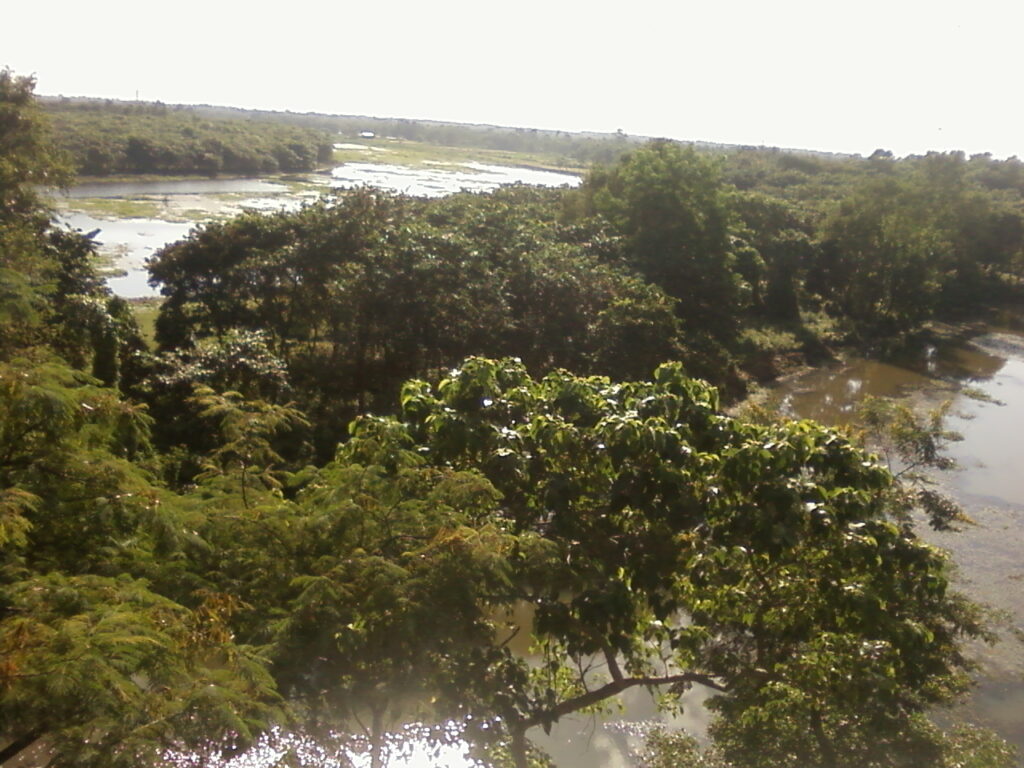 Rasikbil Bird Sanctuary