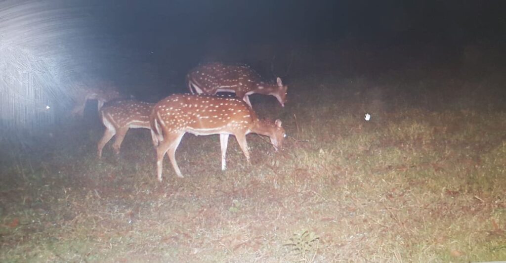 Balukhand-Konark Wildlife Sanctuary