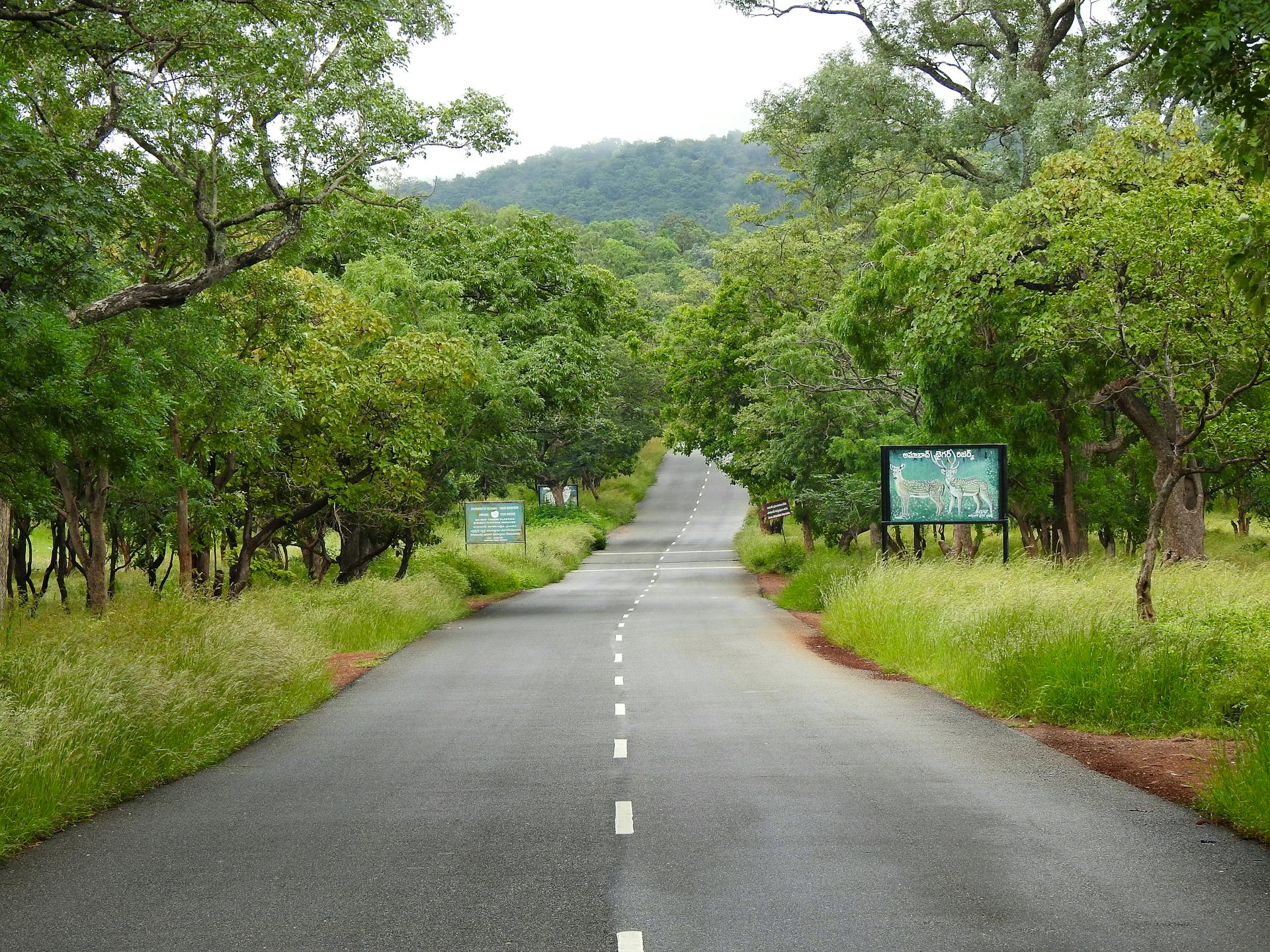 Srisailam Travel Guide 2026 Srisailam