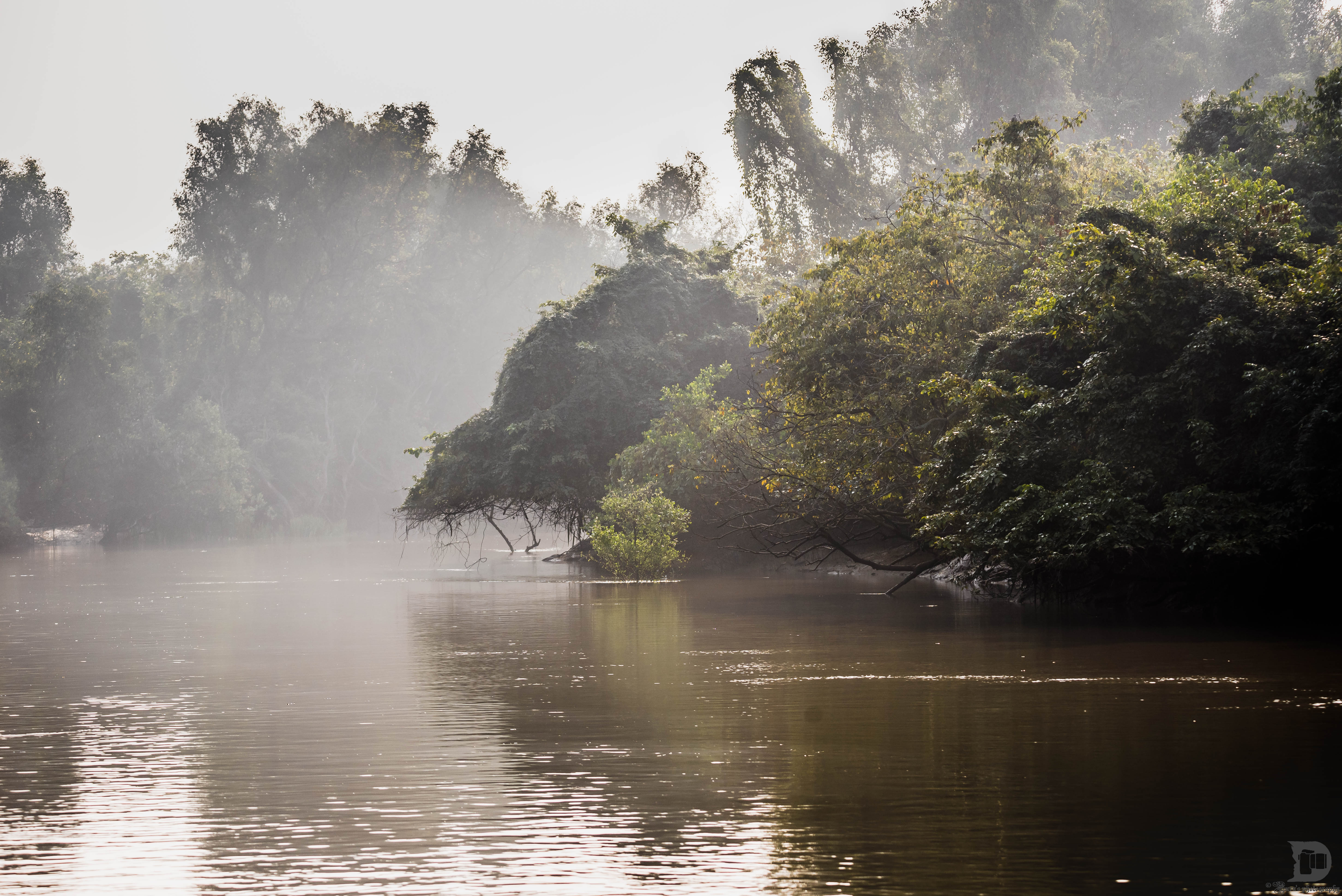 Bhitarakanika National Park, Mangrove forest - Kendrapara Sunrise_at_Bhitarakanika