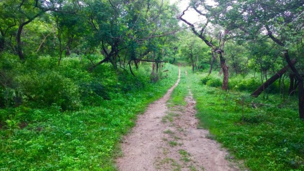 Takhni-Rehmapur Wildlife Sanctuary
