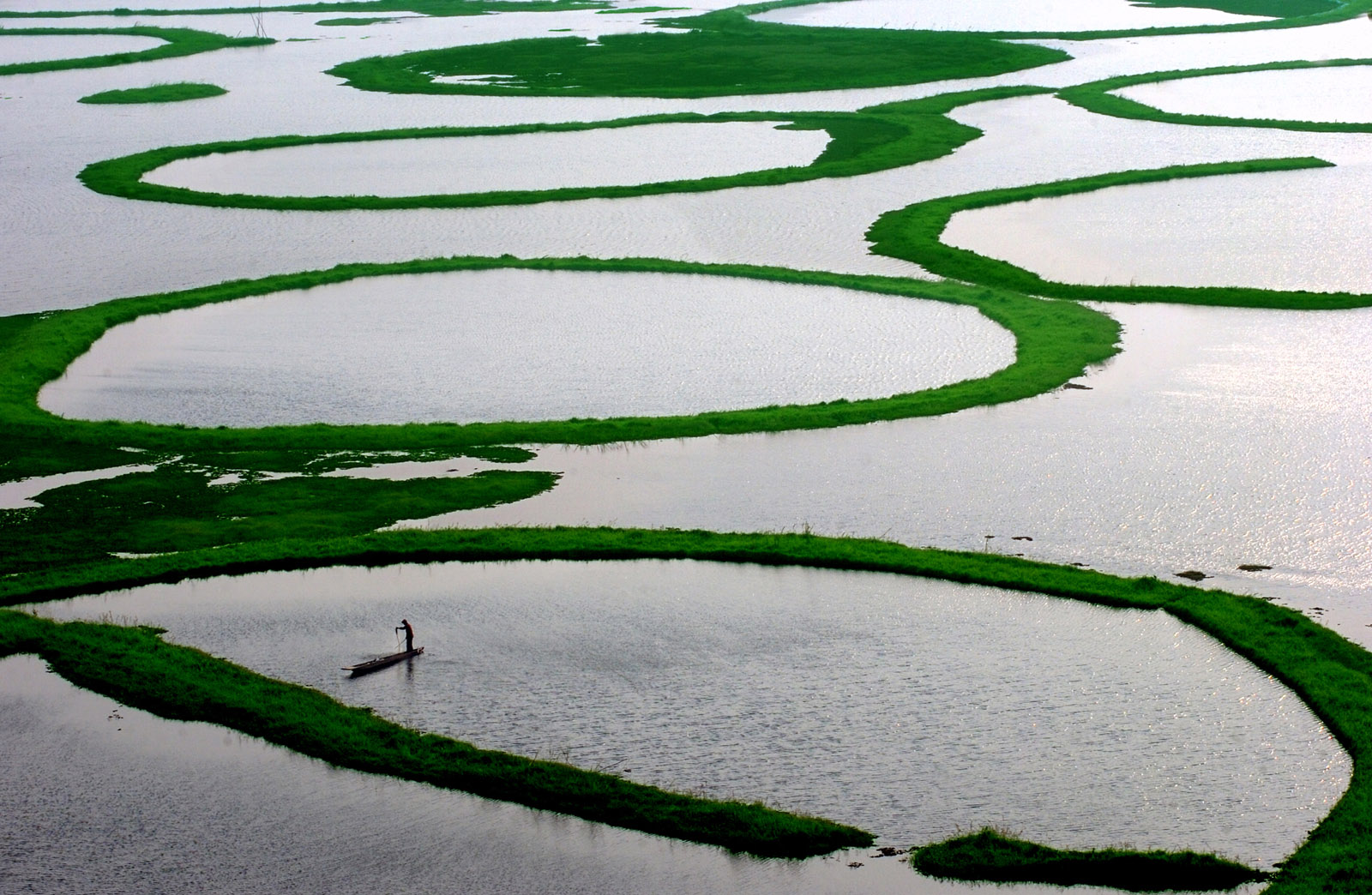 Loktak Lake (Floating Lake), Phumdis: Bishnupur, Manipur The_Loktak_Lake
