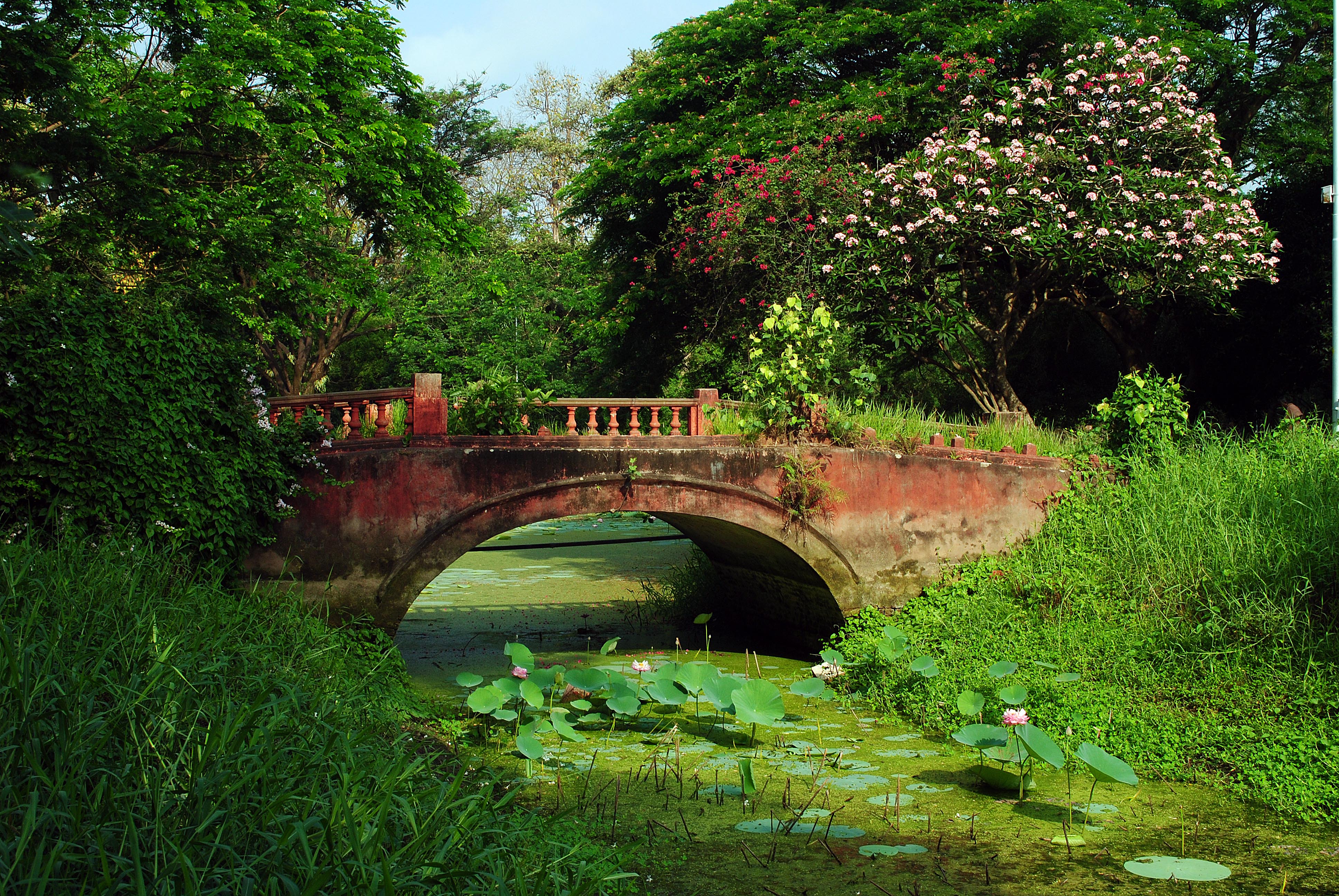 Acharya Jagadish Chandra Bose Indian Botanic Garden, Howrah The_Old_bridge_inside_Botanical_Garden