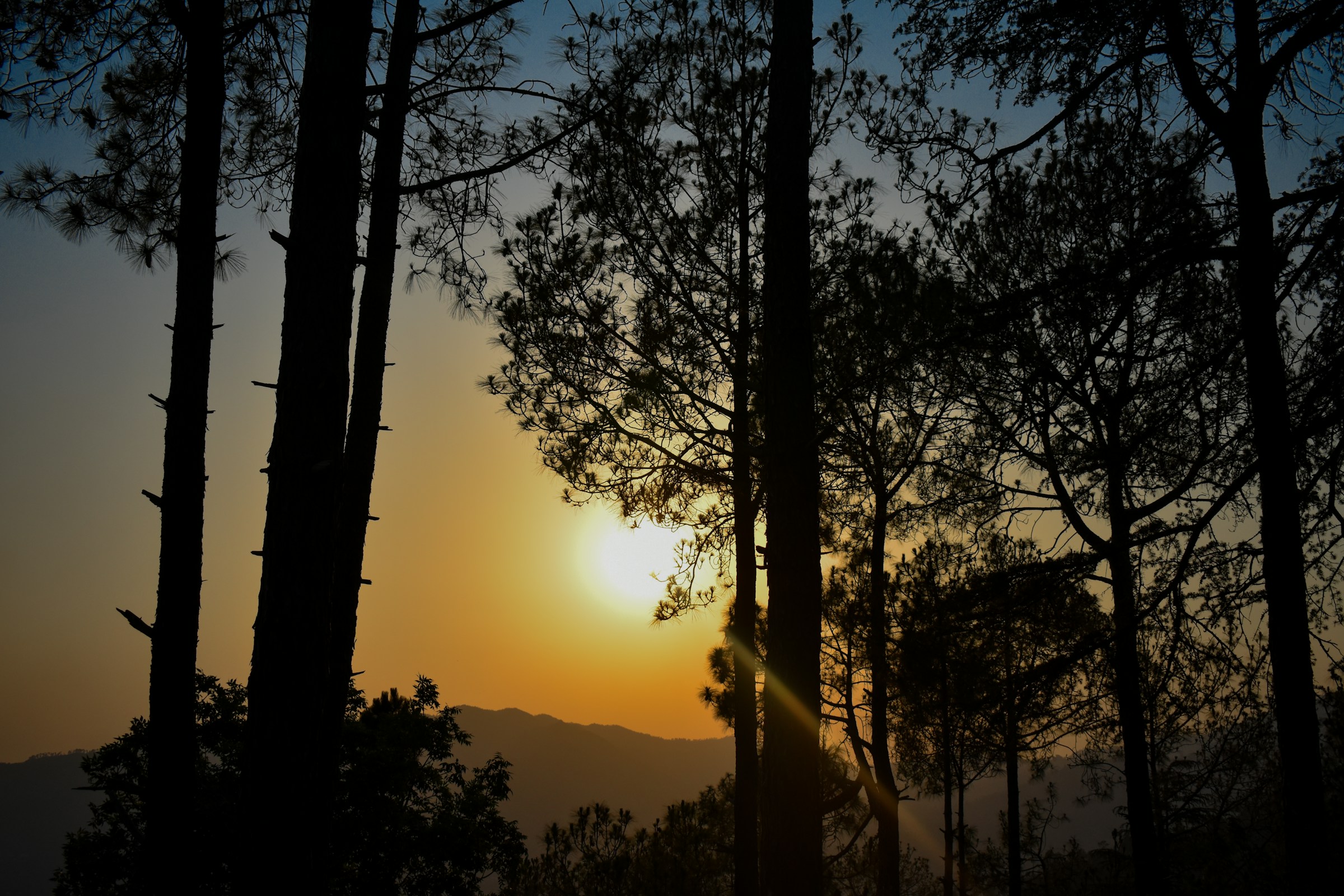 Chail Travel Guide: 2026 chail