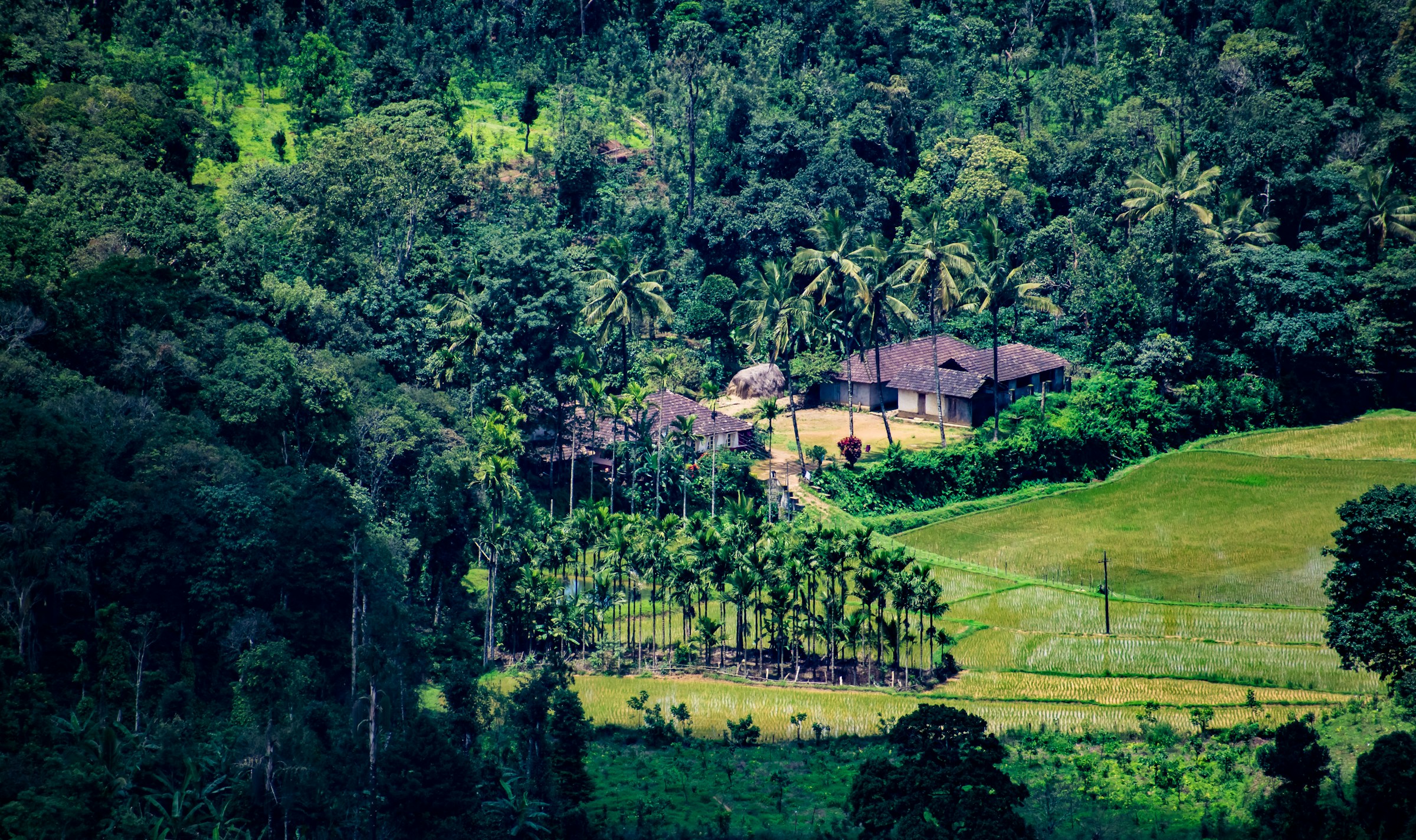 Coorg Travel Guide 2026 Coorg