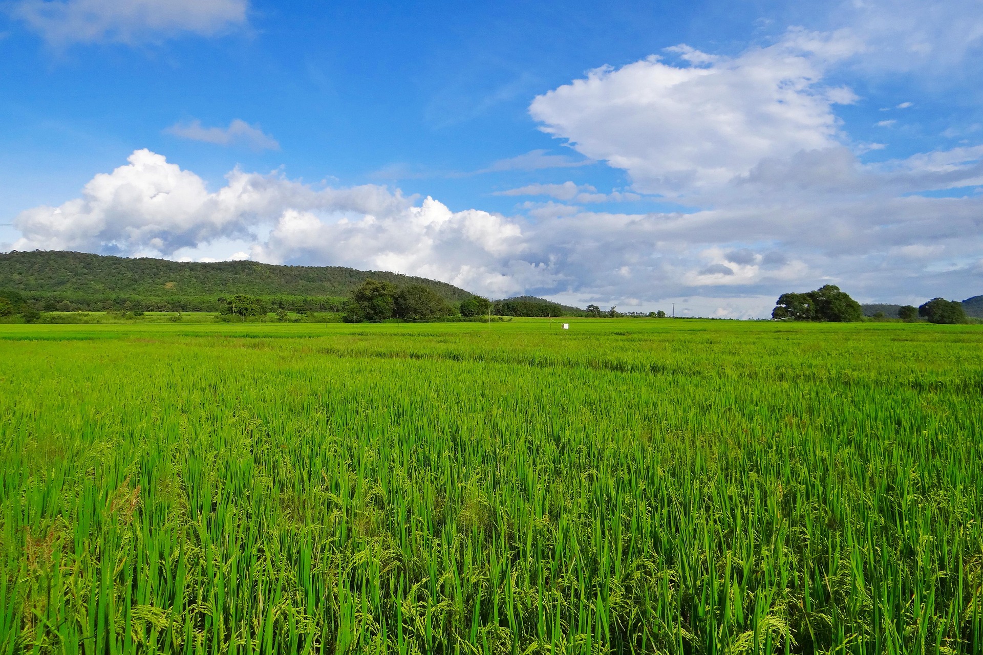 Hubli Hubli