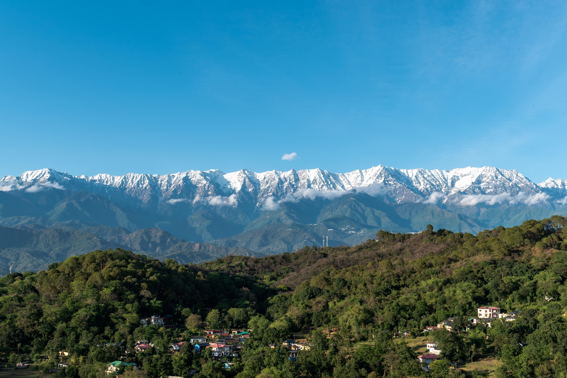 Kangra kangra