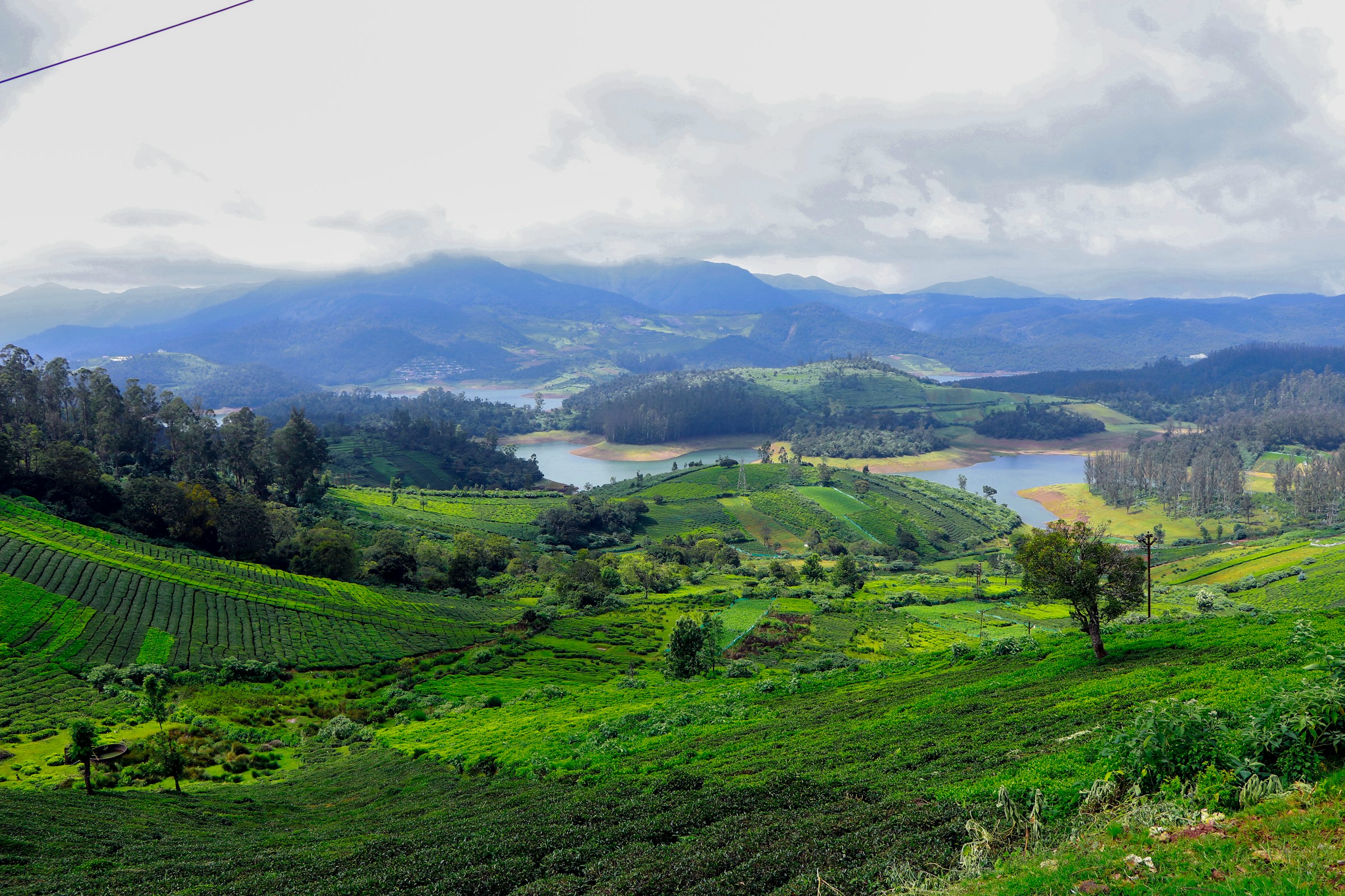 Ooty Ooty
