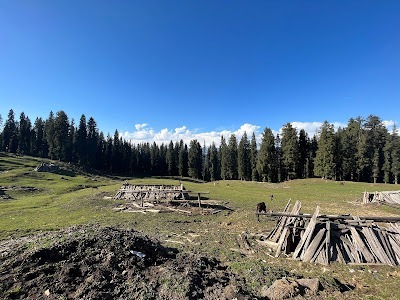 Harunta Bugyal, Alpine Meadow, Trekking - Uttarkashi Harunta Bugyal