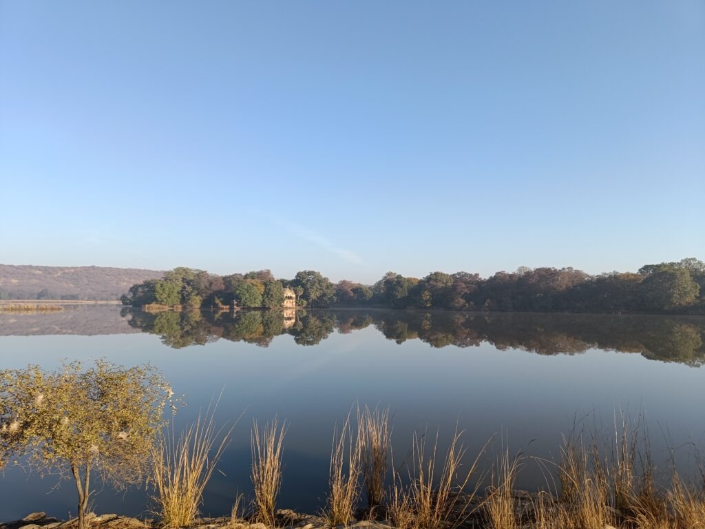 Padam Talao, Scenic lake -Ranthambore Padam Talao, Ranthambore