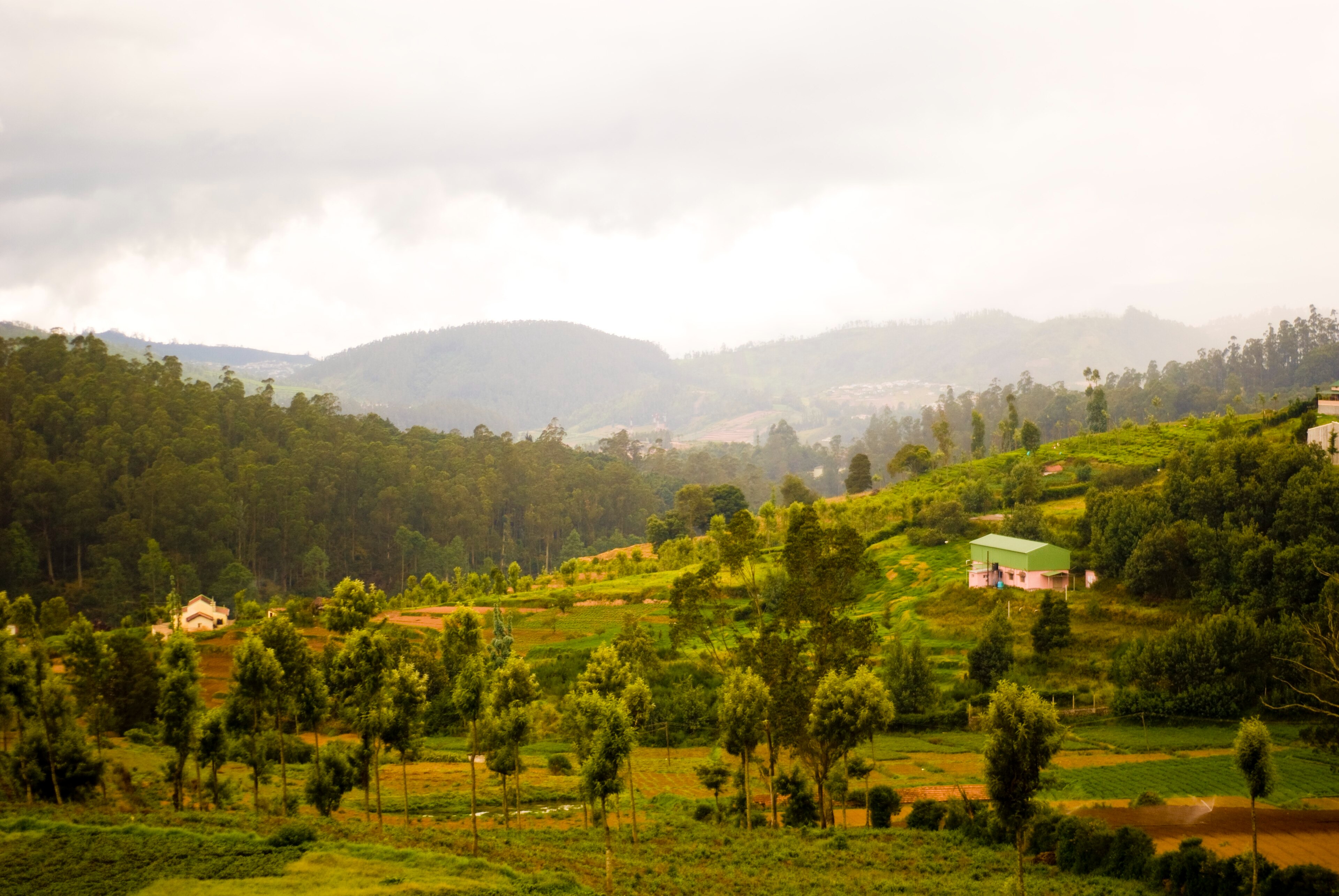 Nilgiri–Eastern Ghats Corridor: A Living Wildlife Link in South India Nilgiri_Hills