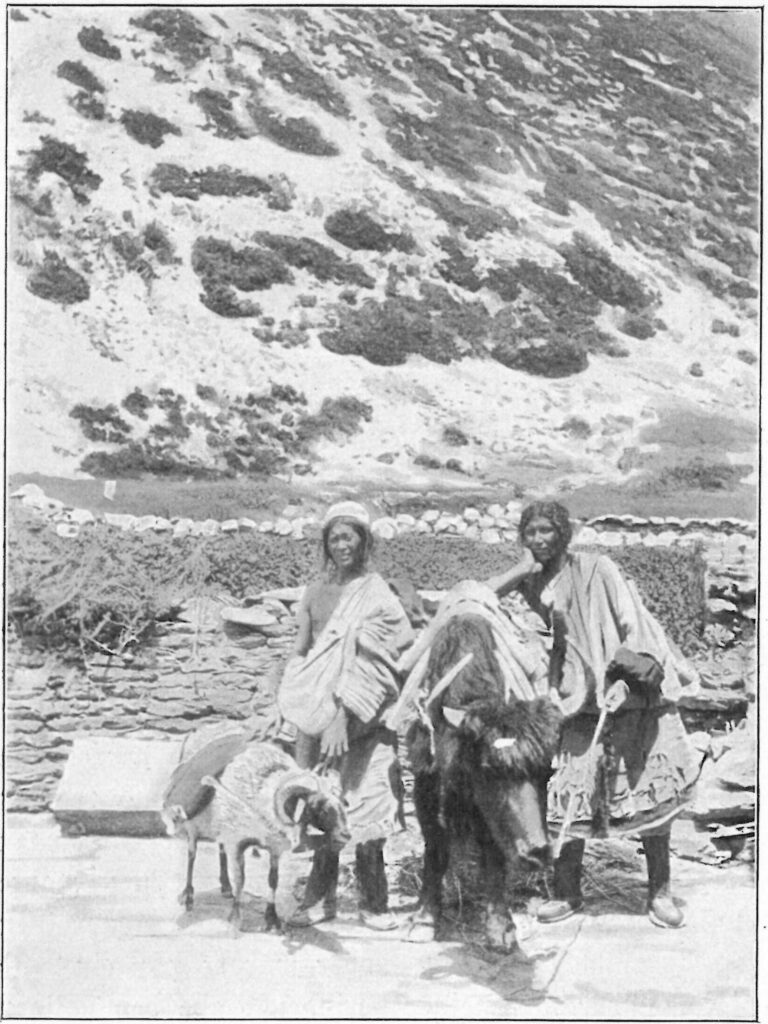 Bhotia Traders