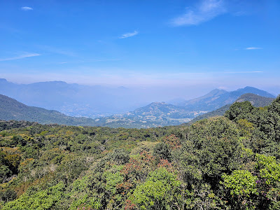 Anamudi Shola National Park