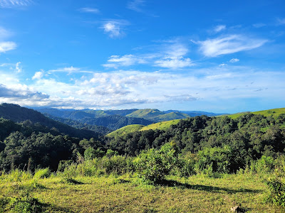 Periyar Wildlife Sanctuary