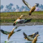 Ganjam Travel Guide 2026 Ganjam district