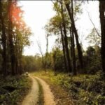 Jalpaiguri Jalpaiguri