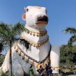 Mahanandi Travel Guide 2026 Mahanandi