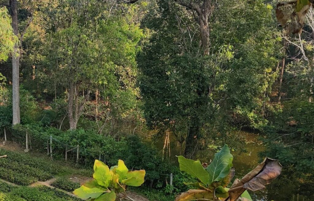 Rukhad Wildlife Sanctuary