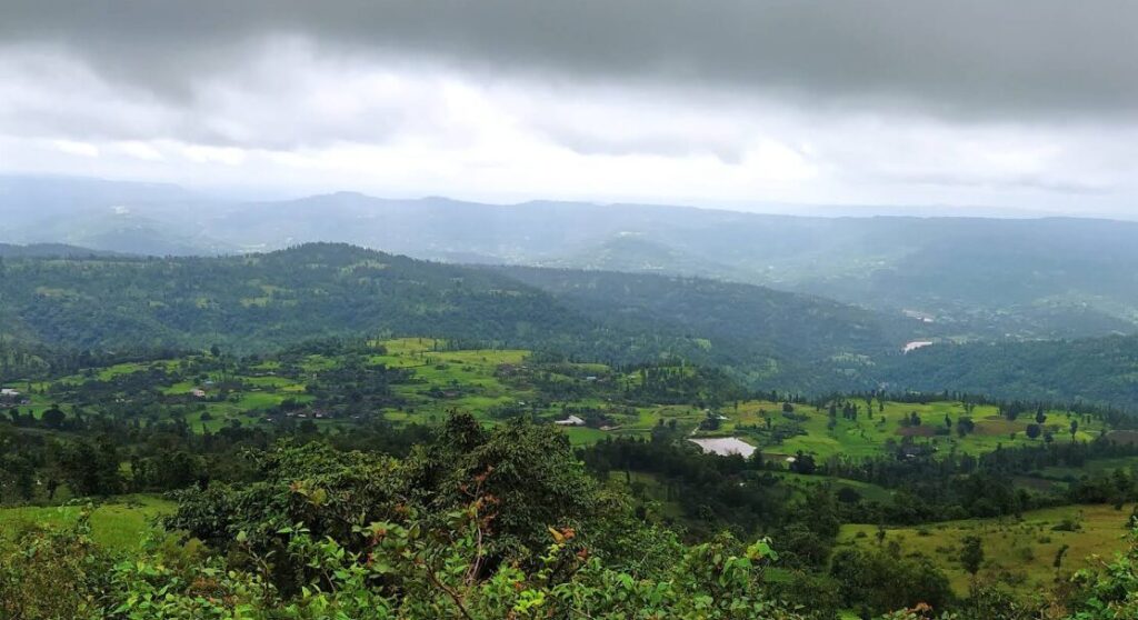 Wilson Hills